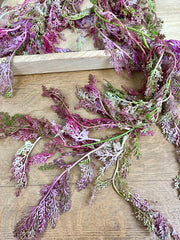 Pink Hanging Fern