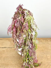 Pink Hanging Fern