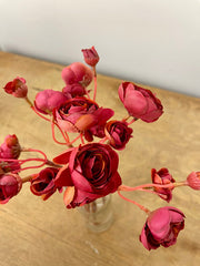 Burgundy Mini Ranunculus Bundle