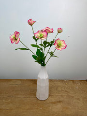 Hellebore Spray