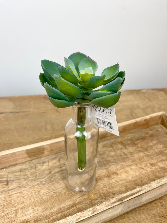 Silk sage cup leaf succulent rosette for transitional everyday home decor from Magnolias Home Decor