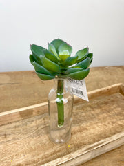 Silk sage cup leaf succulent rosette for transitional everyday home decor from Magnolias Home Decor
