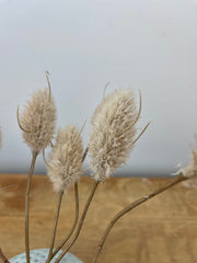 Beige Hare's Tail Bundle
