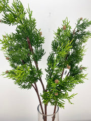 Just Cut Pinecone Cedar Spray