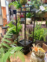Malibu Lantern
