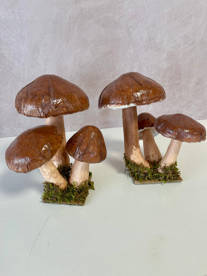 Resin rimini mushroom assortment 9.5 x 7.5 inch for farmhouse cottagecore fall home decor from Magnolias Home Decor