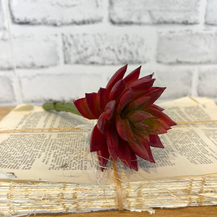 Silk burgundy sharp leaf succulent for transitional everyday home decor from Magnolias Home Decor