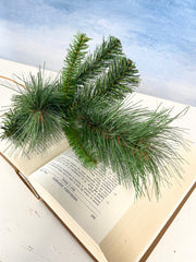 Short Himalayan Pine Pick