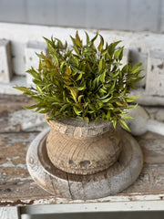 Smilax Half Orb