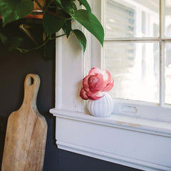 Sweet Grace Flower Diffuser