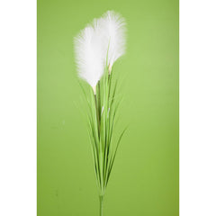 White Reed Grass Bush