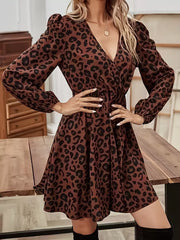 Leopard Print V-Neck Long Sleeve Mini Dress