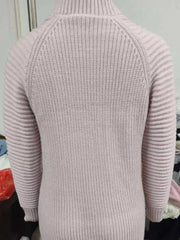 Full Size Turtleneck Raglan Sleeve Sweater Dress Plus Size