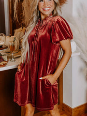 Tie Neck Puff Sleeve Velvet Dress