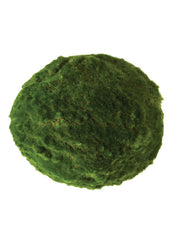 9" Moss Orb