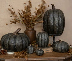 Black Pumpkin
