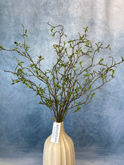Silk cream fiona willow spray for transitional everyday home decor from Magnolias Home Decor