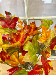 Flame Maple Bush