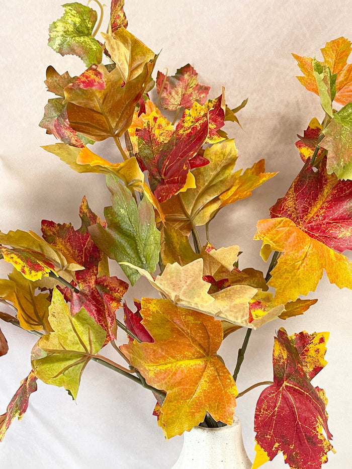 Flame Maple Bush