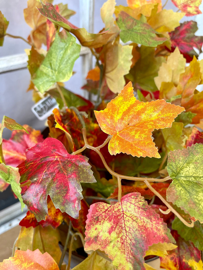 Flame Maple Leaf Hanging Bush