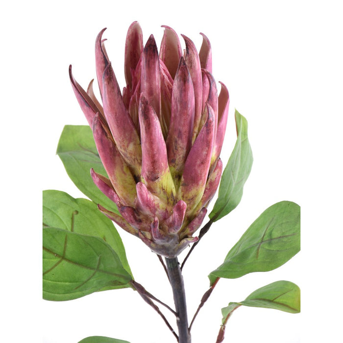 Silk pink protea stem 24 inch for transitional everyday home decor from Magnolias Home Decor