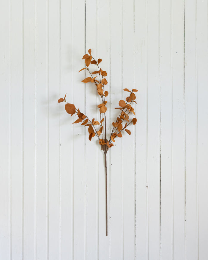 Rust Eucalyptus Spray