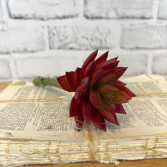 Silk burgundy sharp leaf succulent for transitional everyday home decor from Magnolias Home Decor