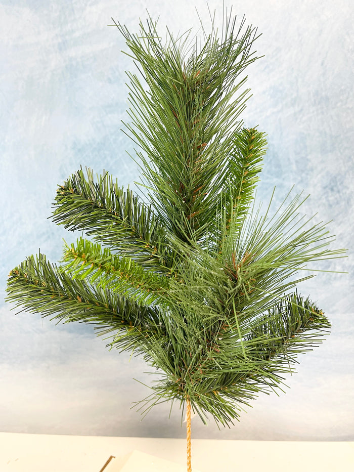 Short Himalayan Pine Pick