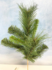Short Himalayan Pine Pick