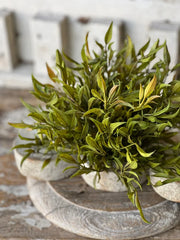 Smilax Half Orb